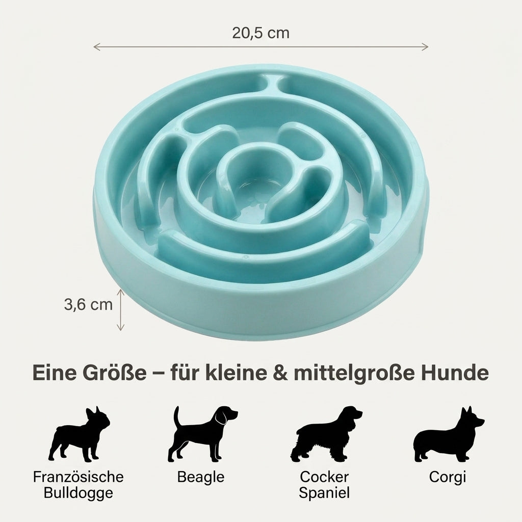 Maße: 20,5 cm Breite, 3,6 cm Höhe – passende Hunderassen