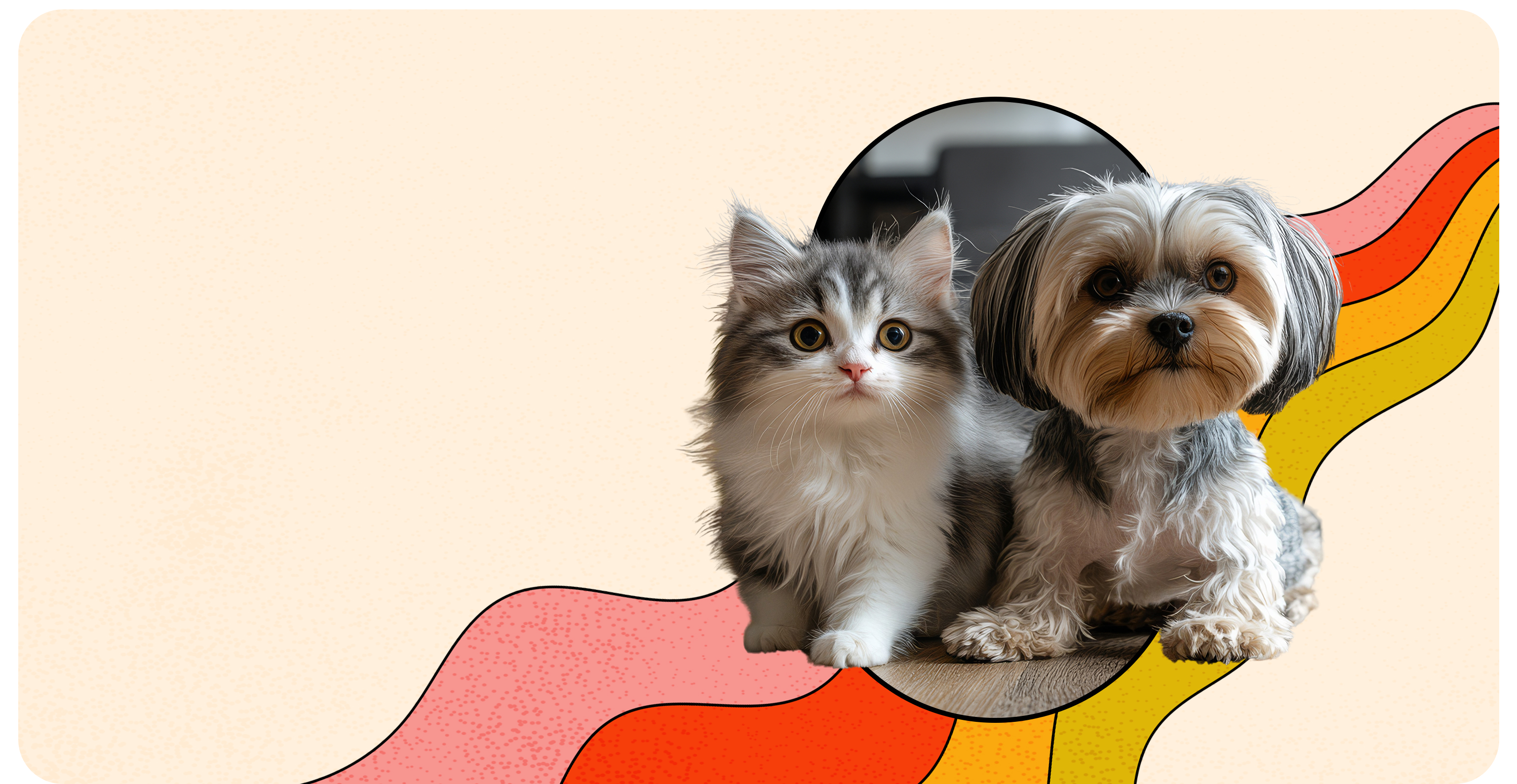 slider image 1621243260e1af0c20-2