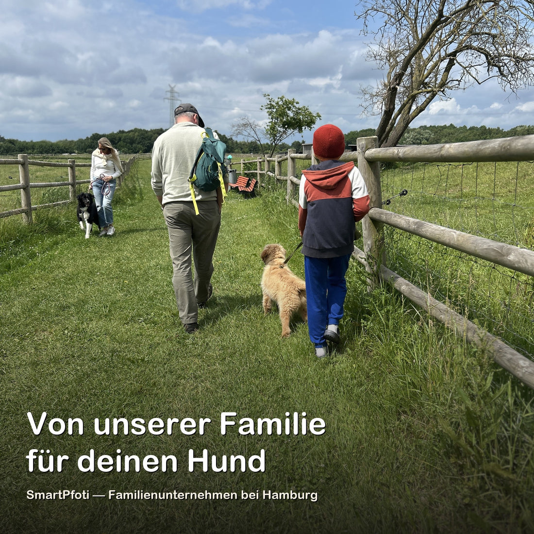 Kühlmatte für Hunde