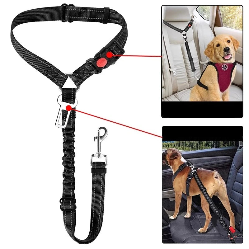 Dog safety belt