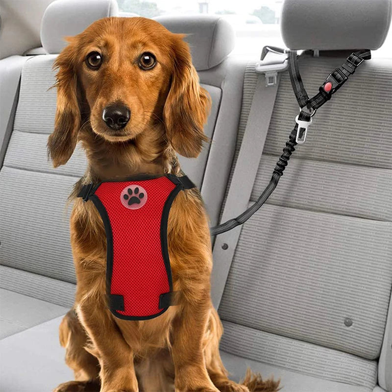 Dog safety belt