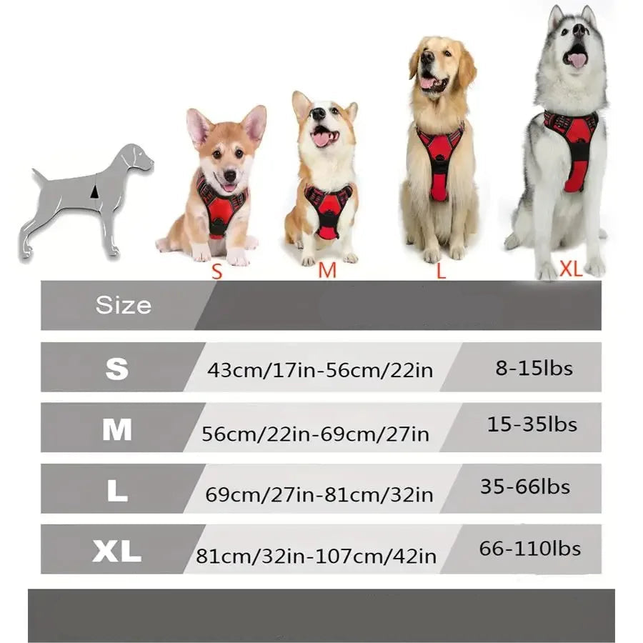 Hundegeschirr Große Weste mit Leine
