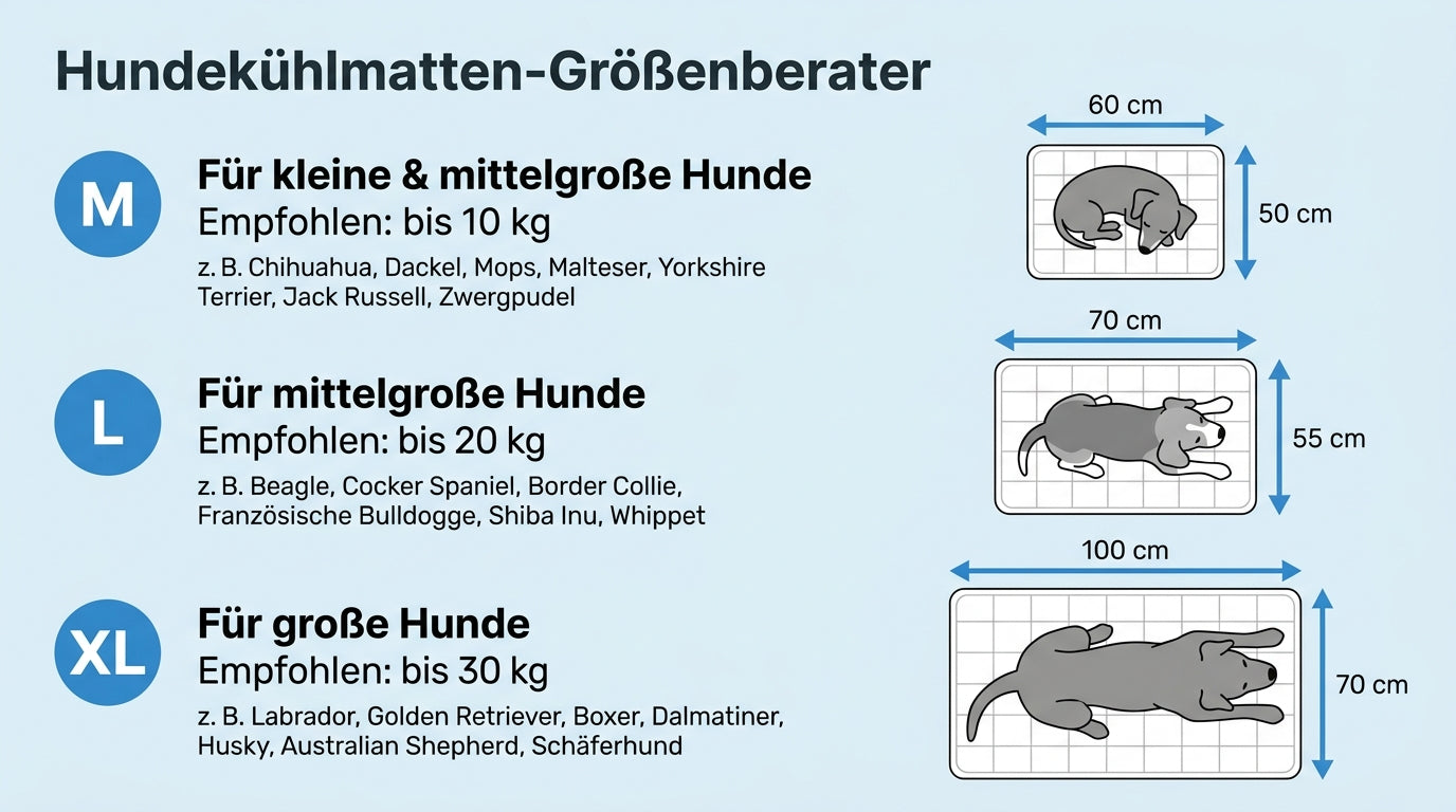 Größenberater: M 60×50 cm bis 10 kg, L 70×55 cm bis 20 kg, XL 100×70 cm bis 30 kg